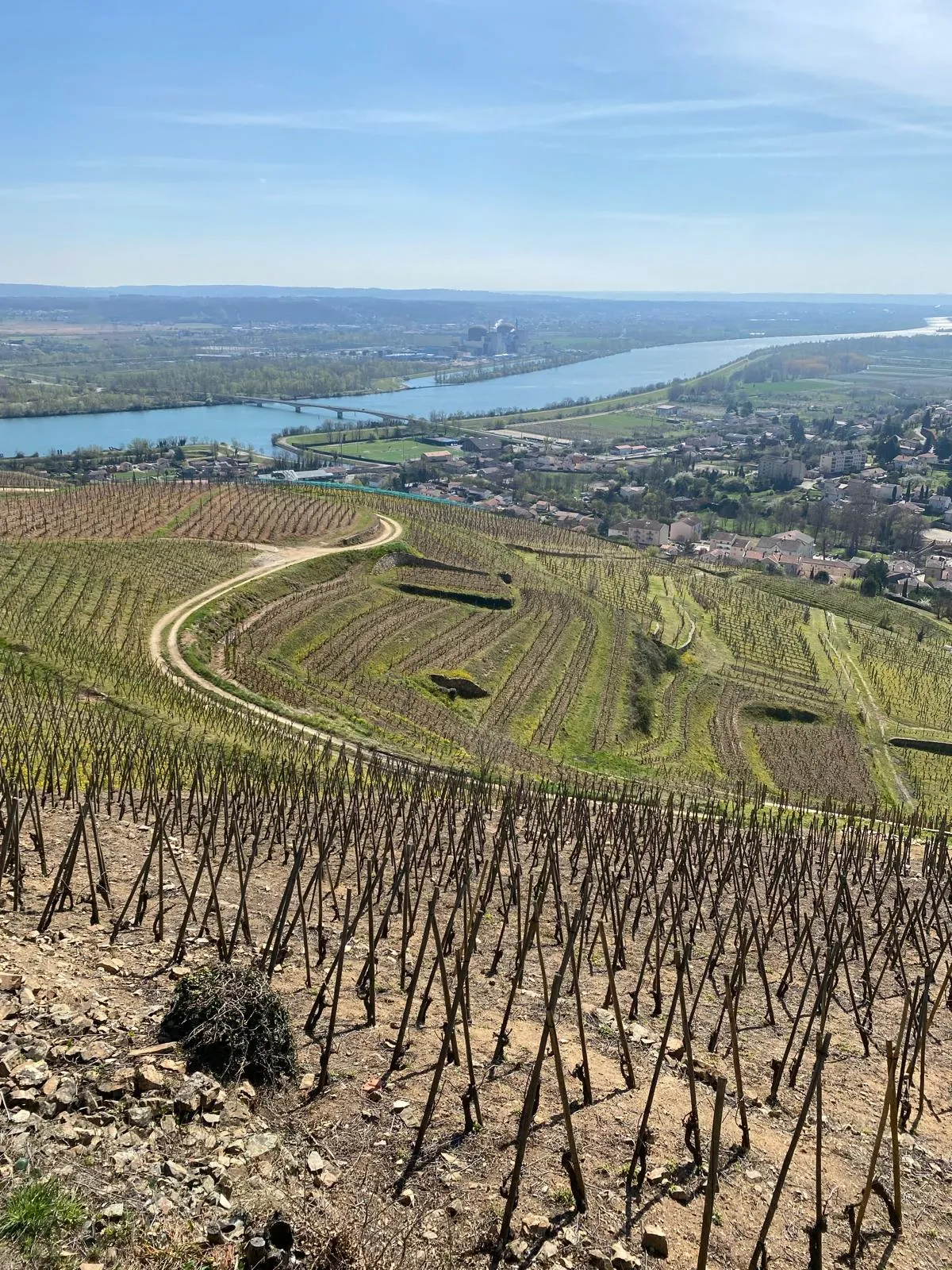 Séminaire Lanaco: un petit groupe de participants, entre travail et vignobles...