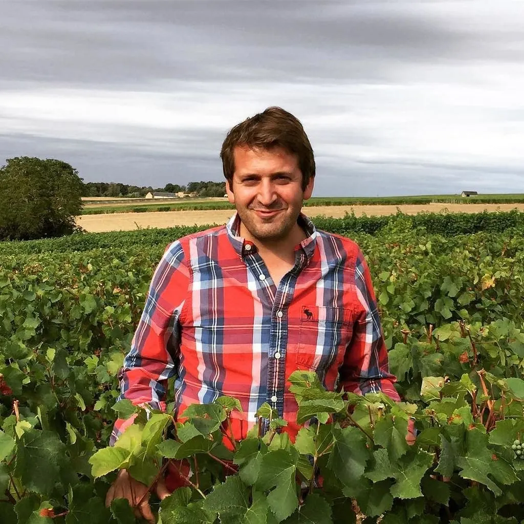 Le Domaine Mabillot en haut de l'affiche, avec des vins de copains, francs et intenses!