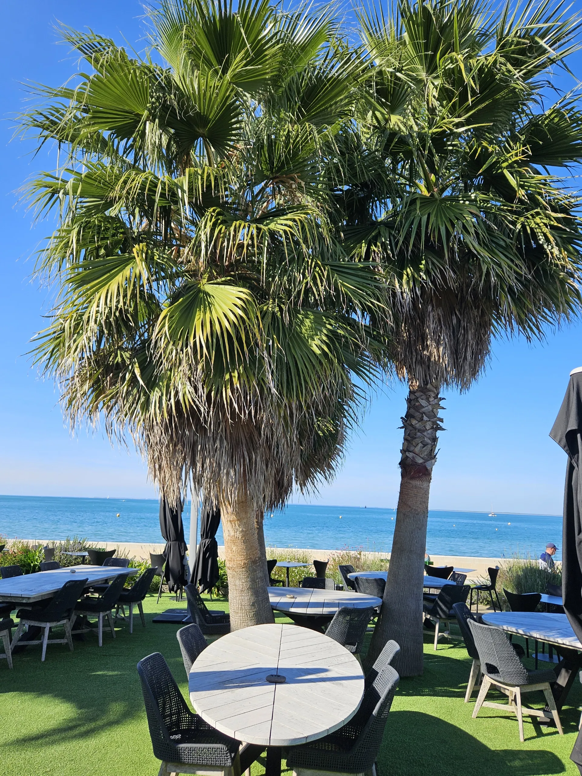 Séminaire Exponens sur L'île de Ré, les pieds dans l'eau!